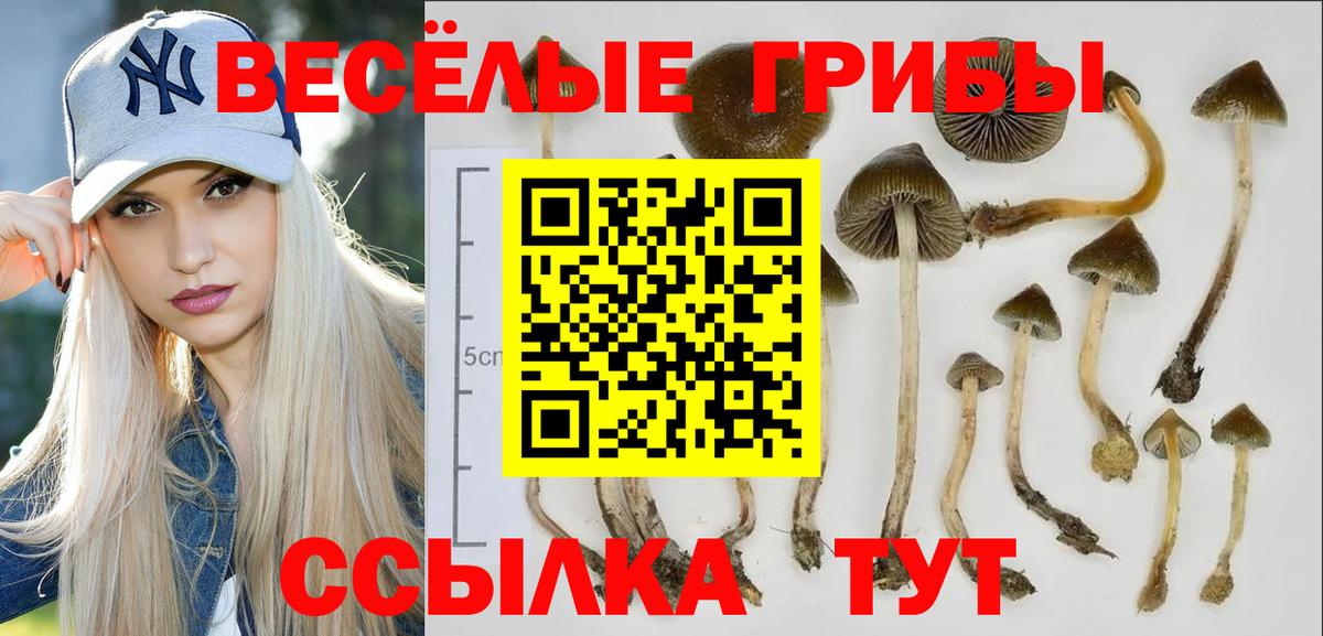 Лесосибирск  Галлюциногенные грибы мицелий  Вход с VPN 
