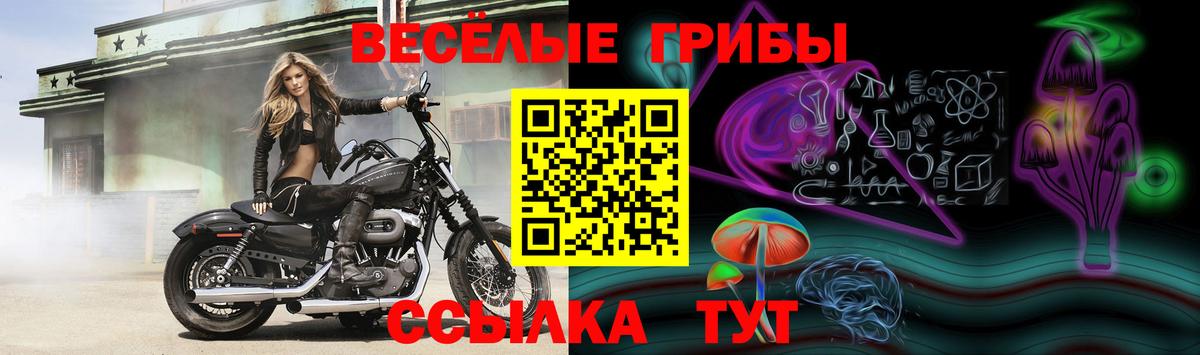 Галлюциногенные грибы мухоморы Лесосибирск